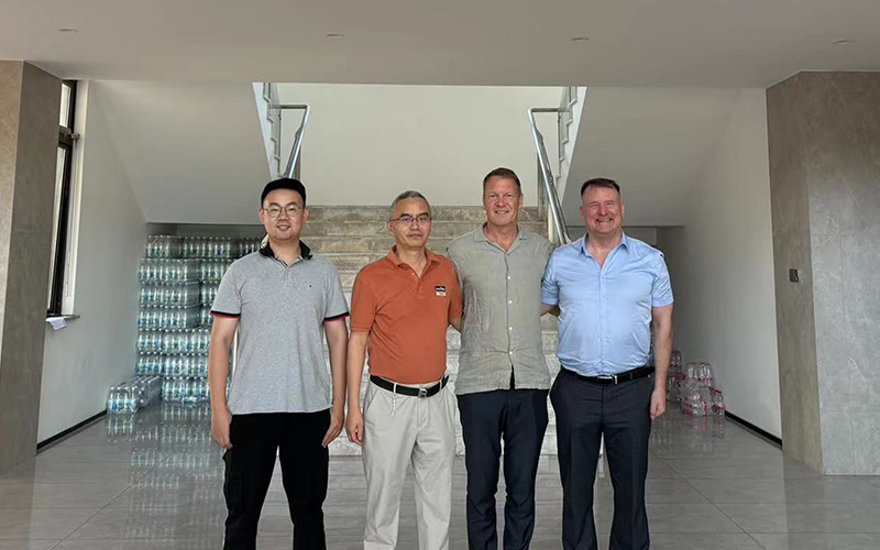 Нибурские шестерни